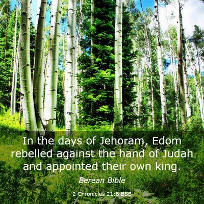 Picture 03 - 2 Chronicles 21:8 BSB - In the days of Jehoram, Edom rebelled against the - Bible Verse Picture