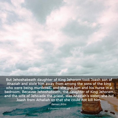 Picture 03 - 2 Chronicles 22:11 BSB - But Jehoshabeath daughter of King Jehoram took - Bible Verse Picture