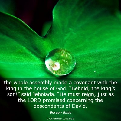 Picture 03 - 2 Chronicles 23:3 BSB - the whole assembly made a covenant with the king - Bible Verse Picture