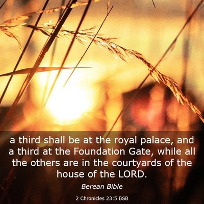 Picture 03 - 2 Chronicles 23:5 BSB - a third shall be at the royal palace, and a third - Bible Verse Picture