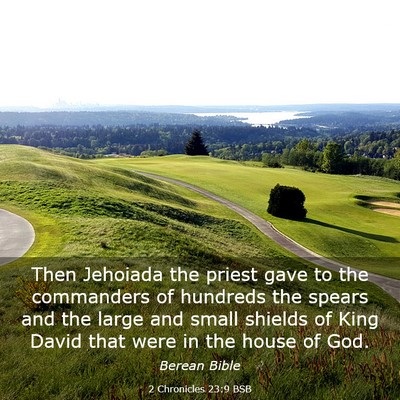 Picture 03 - 2 Chronicles 23:9 BSB - Then Jehoiada the priest gave to the commanders - Bible Verse Picture