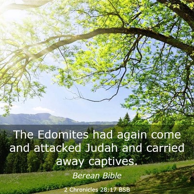 Picture 03 - 2 Chronicles 28:17 BSB - The Edomites had again come and attacked Judah - Bible Verse Picture