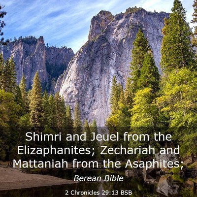 Picture 03 - 2 Chronicles 29:13 BSB - Shimri and Jeuel from the Elizaphanites; - Bible Verse Picture