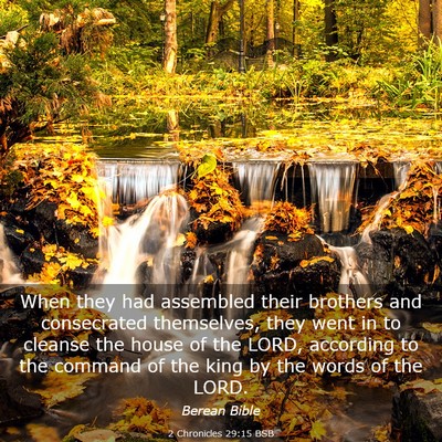 Picture 03 - 2 Chronicles 29:15 BSB - When they had assembled their brothers and - Bible Verse Picture