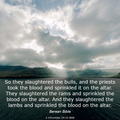 Picture 03 - 2 Chronicles 29:22 BSB - So they slaughtered the bulls, and the priests - Bible Verse Picture
