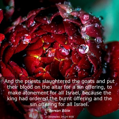 Picture 03 - 2 Chronicles 29:24 BSB - And the priests slaughtered the goats and put - Bible Verse Picture