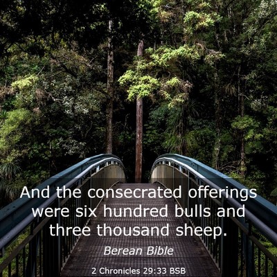 Picture 03 - 2 Chronicles 29:33 BSB - And the consecrated offerings were six hundred - Bible Verse Picture