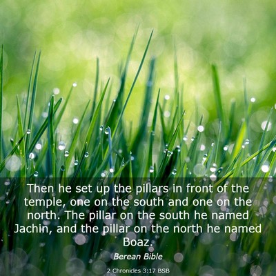 Picture 03 - 2 Chronicles 3:17 BSB - Then he set up the pillars in front of the - Bible Verse Picture