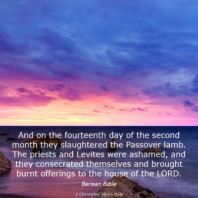 Picture 03 - 2 Chronicles 30:15 BSB - And on the fourteenth day of the second month - Bible Verse Picture