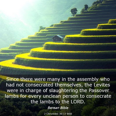 Picture 03 - 2 Chronicles 30:17 BSB - Since there were many in the assembly who had not - Bible Verse Picture