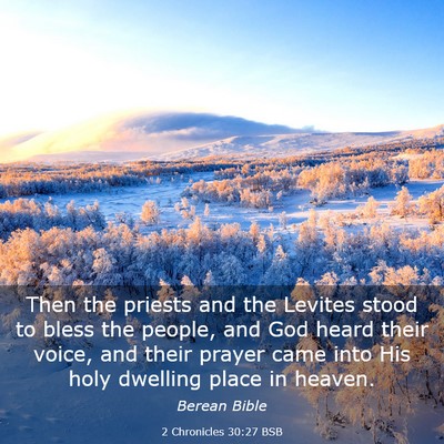 Picture 03 - 2 Chronicles 30:27 BSB - Then the priests and the Levites stood to bless - Bible Verse Picture