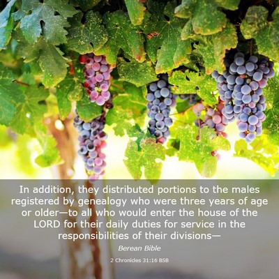 Picture 03 - 2 Chronicles 31:16 BSB - In addition, they distributed portions to the - Bible Verse Picture