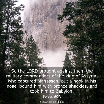 Picture 03 - 2 Chronicles 33:11 BSB - So the LORD brought against them the military - Bible Verse Picture