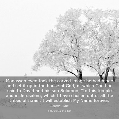 Picture 03 - 2 Chronicles 33:7 BSB - Manasseh even took the carved image he had made - Bible Verse Picture