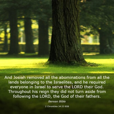 Picture 03 - 2 Chronicles 34:33 BSB - And Josiah removed all the abominations from all - Bible Verse Picture