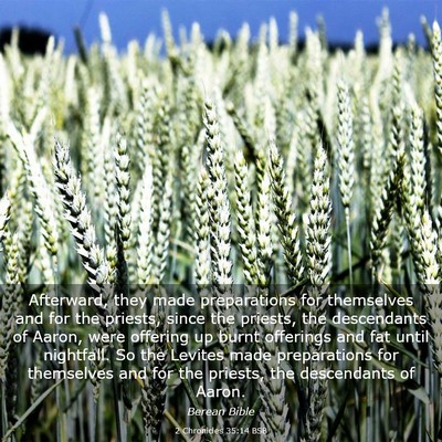 Picture 03 - 2 Chronicles 35:14 BSB - Afterward, they made preparations for themselves - Bible Verse Picture