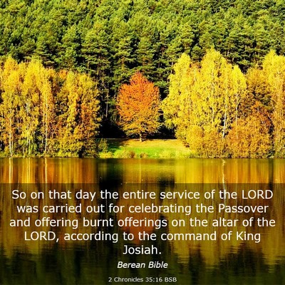 Picture 03 - 2 Chronicles 35:16 BSB - So on that day the entire service of the LORD was - Bible Verse Picture