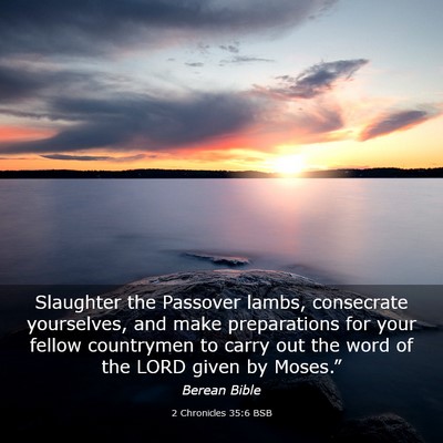 Picture 03 - 2 Chronicles 35:6 BSB - Slaughter the Passover lambs, consecrate - Bible Verse Picture