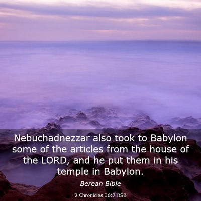 Picture 03 - 2 Chronicles 36:7 BSB - Nebuchadnezzar also took to Babylon some of the - Bible Verse Picture
