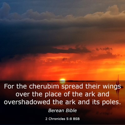 Picture 03 - 2 Chronicles 5:8 BSB - For the cherubim spread their wings over the - Bible Verse Picture