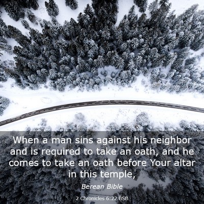 Picture 03 - 2 Chronicles 6:22 BSB - When a man sins against his neighbor and is - Bible Verse Picture