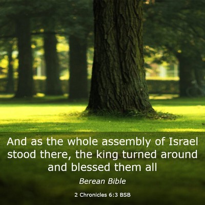 Picture 03 - 2 Chronicles 6:3 BSB - And as the whole assembly of Israel stood there, - Bible Verse Picture