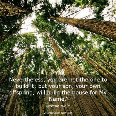Picture 03 - 2 Chronicles 6:9 BSB - Nevertheless, you are not the one to build it; - Bible Verse Picture