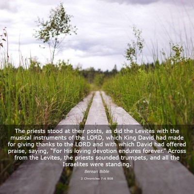 Picture 03 - 2 Chronicles 7:6 BSB - The priests stood at their posts, as did the - Bible Verse Picture