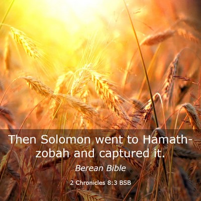 Picture 03 - 2 Chronicles 8:3 BSB - Then Solomon went to Hamath-zobah and captured - Bible Verse Picture