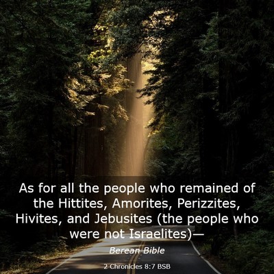Picture 03 - 2 Chronicles 8:7 BSB - As for all the people who remained of the - Bible Verse Picture