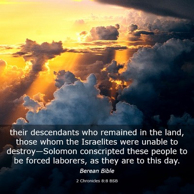 Picture 03 - 2 Chronicles 8:8 BSB - their descendants who remained in the land, those - Bible Verse Picture