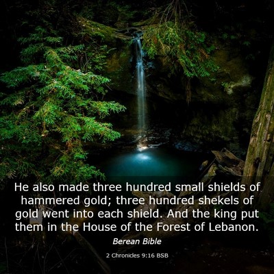 Picture 03 - 2 Chronicles 9:16 BSB - He also made three hundred small shields of - Bible Verse Picture