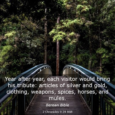 Picture 03 - 2 Chronicles 9:24 BSB - Year after year, each visitor would bring his - Bible Verse Picture