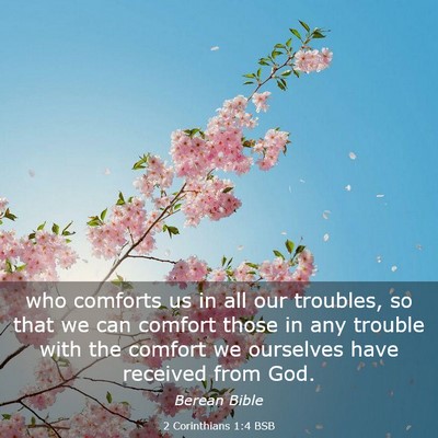 Picture 03 - 2 Corinthians 1:4 BSB - who comforts us in all our troubles, so that we - Bible Verse Picture