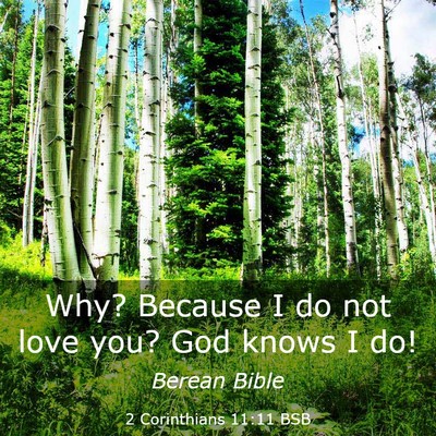 Picture 03 - 2 Corinthians 11:11 BSB - Why? Because I do not love you? God knows I - Bible Verse Picture