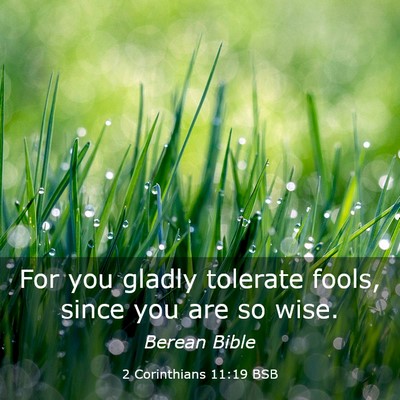Picture 03 - 2 Corinthians 11:19 BSB - For you gladly tolerate fools, since you are so - Bible Verse Picture