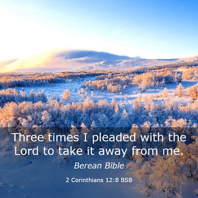 Picture 03 - 2 Corinthians 12:8 BSB - Three times I pleaded with the Lord to take it - Bible Verse Picture