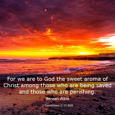 Picture 03 - 2 Corinthians 2:15 BSB - For we are to God the sweet aroma of Christ among - Bible Verse Picture