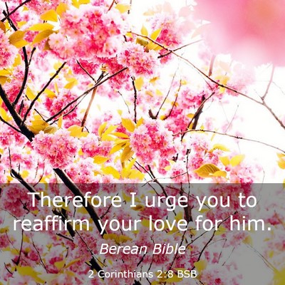 Picture 03 - 2 Corinthians 2:8 BSB - Therefore I urge you to reaffirm your love for - Bible Verse Picture