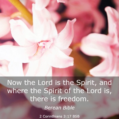 Picture 03 - 2 Corinthians 3:17 BSB - Now the Lord is the Spirit, and where the Spirit - Bible Verse Picture