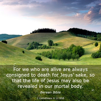 Picture 03 - 2 Corinthians 4:11 BSB - For we who are alive are always consigned to - Bible Verse Picture