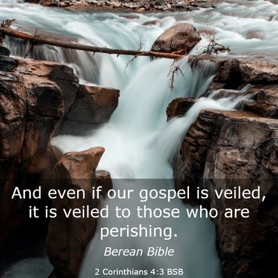 Picture 03 - 2 Corinthians 4:3 BSB - And even if our gospel is veiled, it is veiled to - Bible Verse Picture