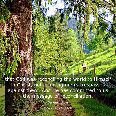 Picture 03 - 2 Corinthians 5:19 BSB - that God was reconciling the world to Himself in - Bible Verse Picture