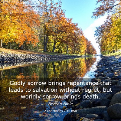 Picture 03 - 2 Corinthians 7:10 BSB - Godly sorrow brings repentance that leads to - Bible Verse Picture
