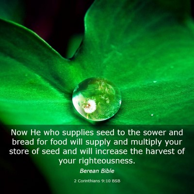 Picture 03 - 2 Corinthians 9:10 BSB - Now He who supplies seed to the sower and bread - Bible Verse Picture