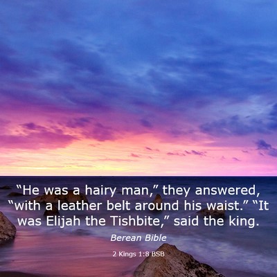 Picture 03 - 2 Kings 1:8 BSB - “He was a hairy man,” they answered, “with - Bible Verse Picture
