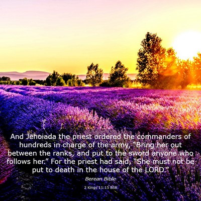 Picture 03 - 2 Kings 11:15 BSB - And Jehoiada the priest ordered the commanders of - Bible Verse Picture