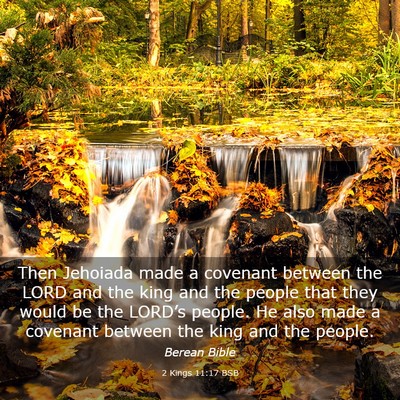 Picture 03 - 2 Kings 11:17 BSB - Then Jehoiada made a covenant between the LORD - Bible Verse Picture