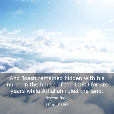 Picture 03 - 2 Kings 11:3 BSB - And Joash remained hidden with his nurse in the - Bible Verse Picture