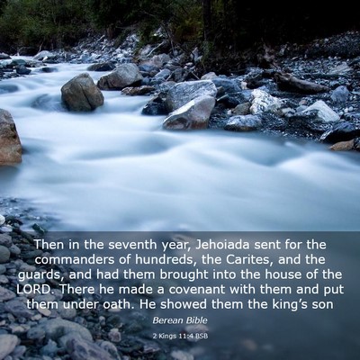 Picture 03 - 2 Kings 11:4 BSB - Then in the seventh year, Jehoiada sent for the - Bible Verse Picture